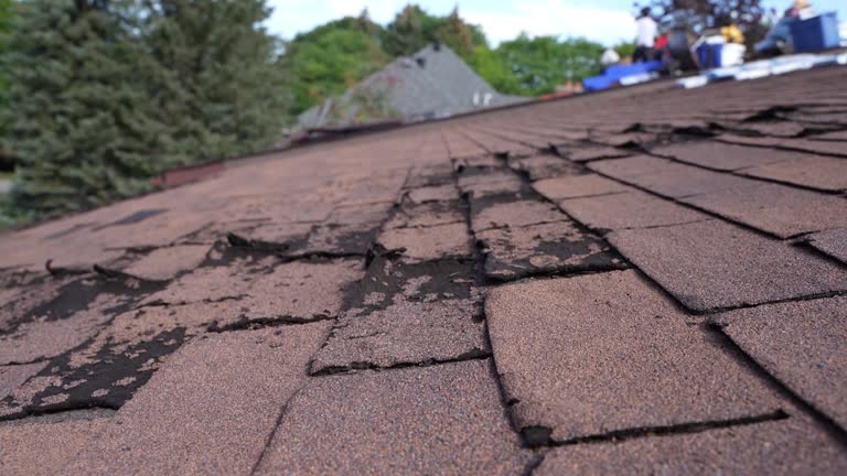 Fast & Reliable Emergency Roof Repairs in Bonnie Brae, IL